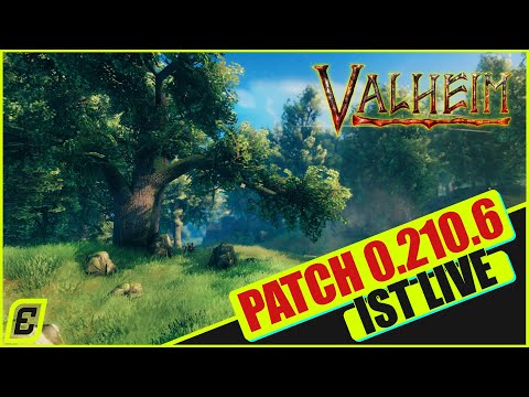 VALHEIM PATCH 0.210.6 & INFOS ZU DEN NEUEN SERVERN