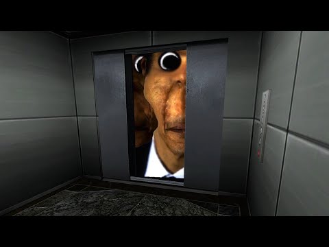 We can run … but we can't hide from Obunga