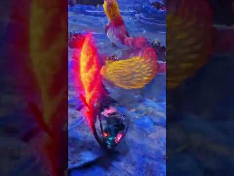 When your videos of Monster Hunter World are too long…