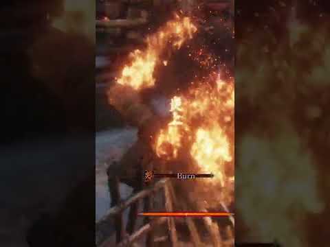Why is it so aggressive…|Sekiro: Shadows Die Twice