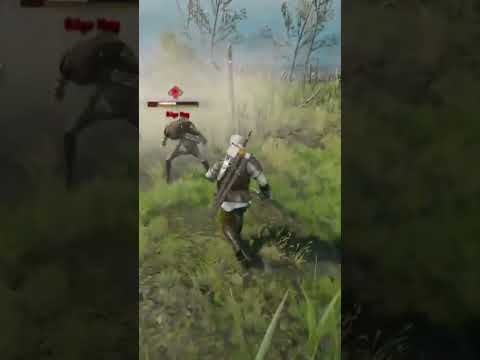 Witcher 3 The Wild Hunt Water Hag World Boss
