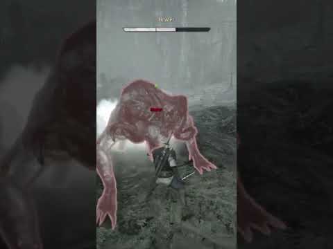 Witcher 3 Wild Hunt intense Howler Chort Fight
