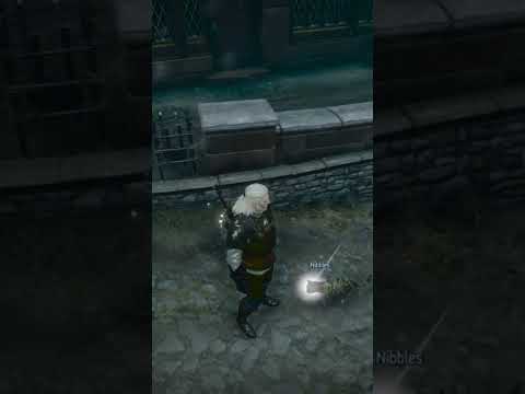 Witcher 3 Wild Hunt Nibbles The Cat Will Follow You When You Use Axii
