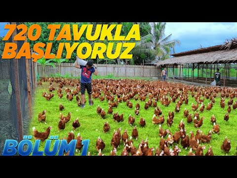 YENİ EKİPMANLARI ALDIK ÇİFTLİĞİMİZİ KURDUK | FARMİNG SİMULATOR 2022 | fs 22 | vadinin sahibi