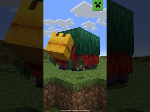 SNIFFING UP NEW SEEDS – ASK MOJANG