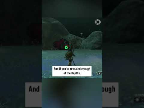 The connection between Shrines and Lightroots #zelda #totk #tearsofthekingdom #gaming #shorts