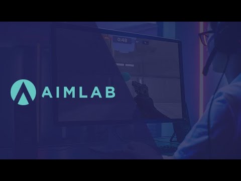 Best Aimlabs Settings + Custom Gun Model