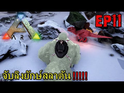 BGZ – ARK: Survival Evolved SS2 EP#11 จับลิงยักษ์สลาตัน!!!!!