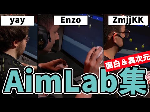 【VCT Champions】ZmjjKKのとんでもないAimlab、エスパーEnzo、小さすぎるyayの的【SUYGETSU, crow, stax, zekken】