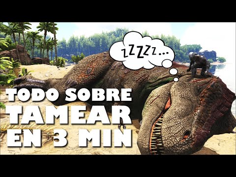 Guía Completa De Tameo | Todo Lo Que Necesitas Saber – Ark: Survival Evolved