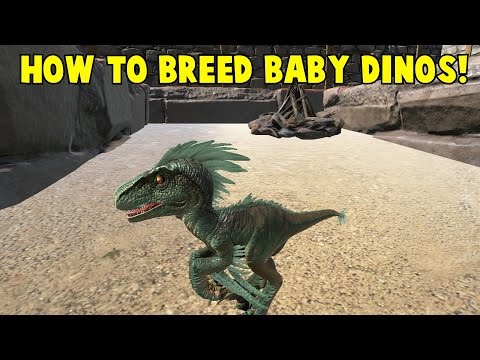 How to Breed Baby Dinos! Ark Survival Evolved