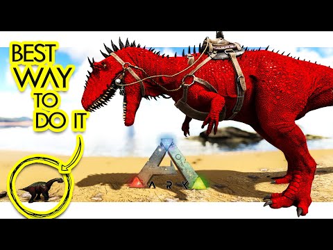 How to PERFECT Tame The Carcharodontosaurus – Guaranteed 99.7% – ARK Survival Evolved