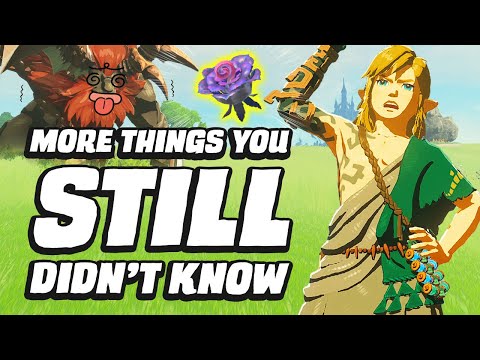 27 MORE Things You STILL Didn’t Know In Zelda Tears Of The Kingdom