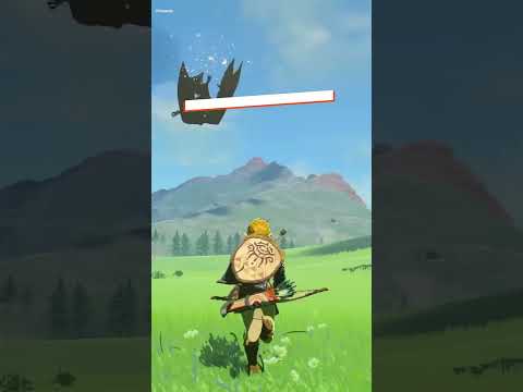 Tears of the Kingdom has been beaten in under an hour #shorts #zeldatearsofthekingdom