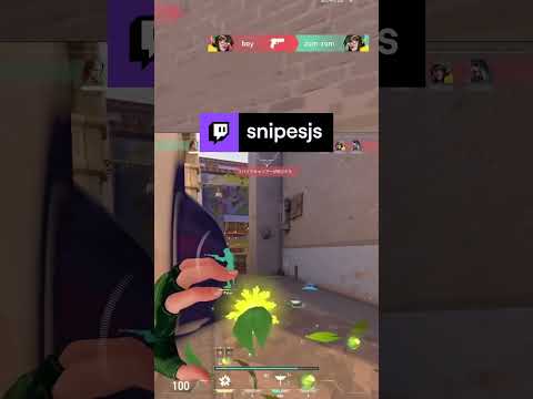 In game aimlabs | snipesjs on #Twitch