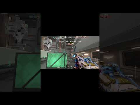 Pov: valorant becoms aimlabs
