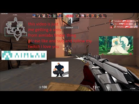 Seeing if Aimlabs Sensitivity Finder actually does anything
