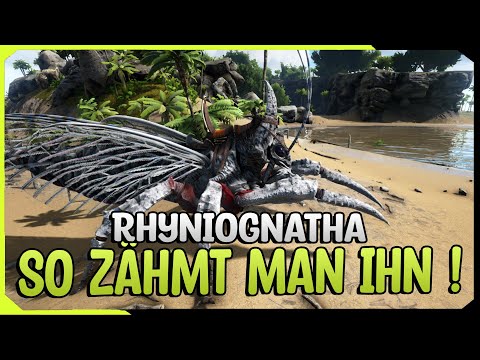 So Zähmt man den Rhyniognatha in ARK Survival Evolved