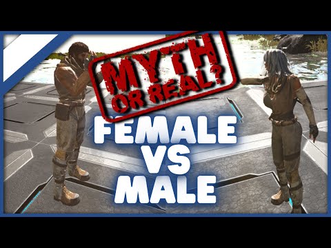 The Difference between Male and Female Characters Ark Survival Evolved Myth or Real