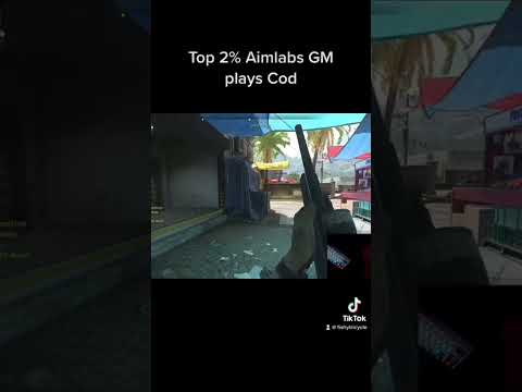 Top 2% aimlabs gm plays cod