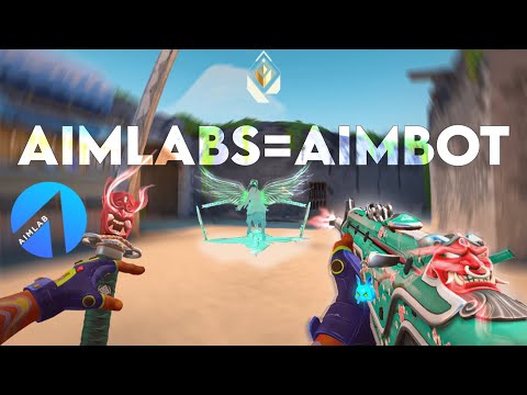 What 1000 Hours Of AIMLABS looks like….