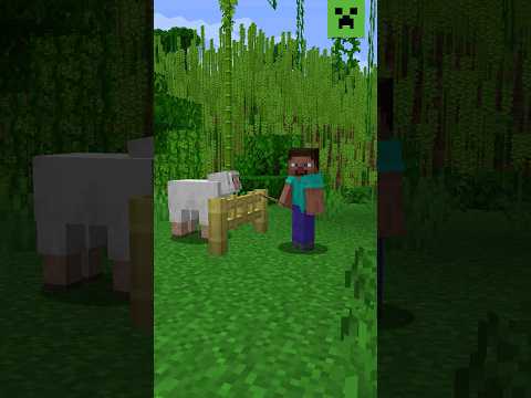 BAMBOOZLING WITH BAMBOO!