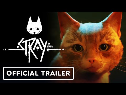 Stray – Official Xbox Launch Trailer