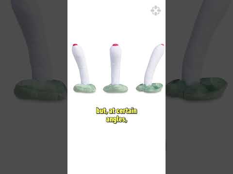 This is a real Pokemon product #pokemon #toys #gaming #nintendo #shorts