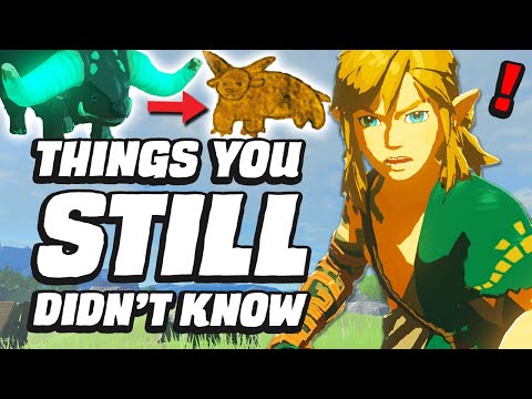 33 MORE Things You STILL Didn’t Know In Zelda Tears Of The Kingdom