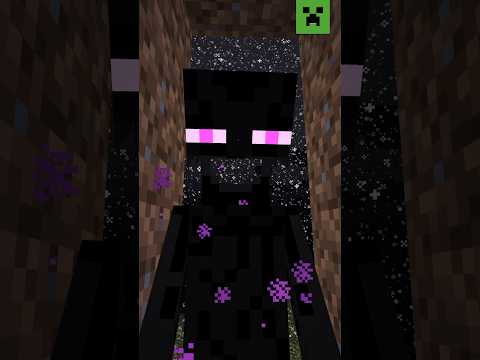 ENDERMAN’S BLOCK COLLECTION