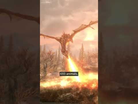 All that’s left now in the massive world of Skyrim is their character.