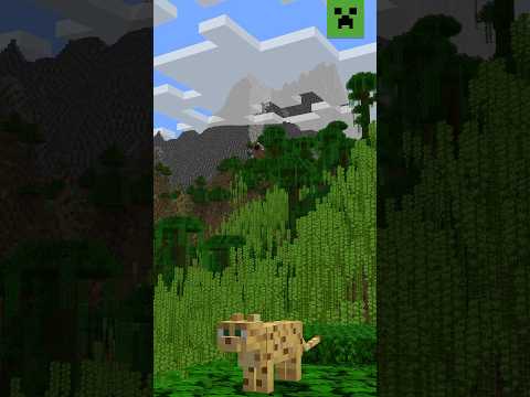 WHAT’S YOUR FAVOURITE MINECRAFT SEED?