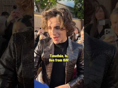 POV: Timothée Chalamet walks up to you. #wonka #timotheechalamet #xbox #converse #wonkamovie #ootd