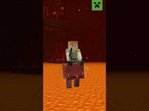 WHAT DO YOU DO IN THE NETHER?
