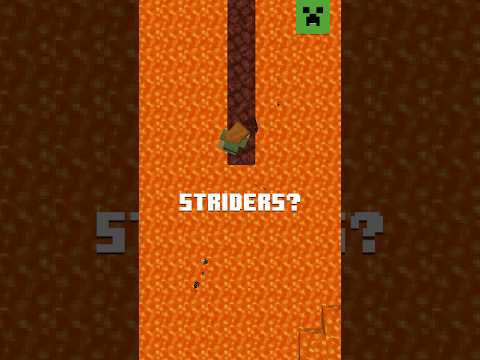 WHEN DID YOU START PLAYING MINECRAFT?