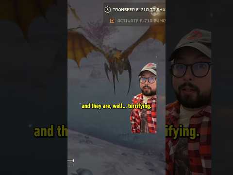 Helldivers 2 director denies existence of flying bugs