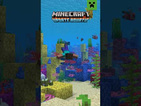 REMEMBER YOUR FIRST UPDATE IN MINECRAFT?