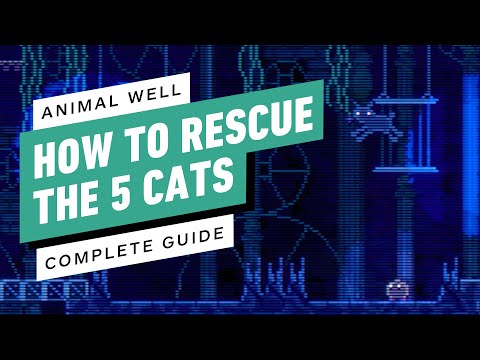 Animal Well – How to Save the 5 Cats