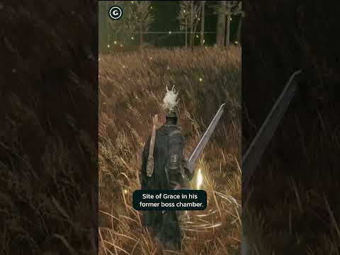 Shadow Of The Erdtree – Get A WHOPPING 5 Scadutree Fragments At Once
