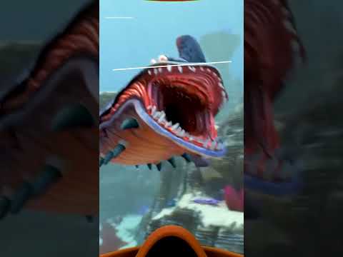 Subnautica devs snuck sequel pics into the first game