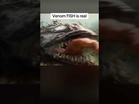 we got venom fish before gta 6