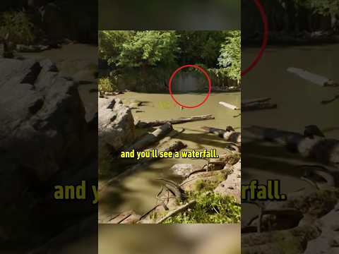Easy to miss Indiana Jones Easter egg