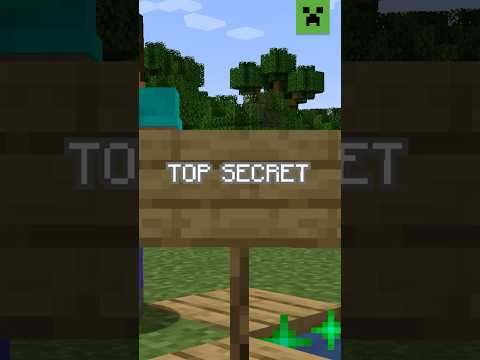 NEW BLOCK IN MINECRAFT?!