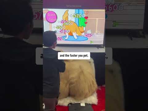 This game controller is a giant cat butt