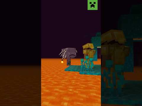 WHO ARE YOU IN THE NETHER?