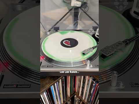This Zelda Vinyl has a cool hidden detail