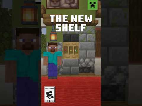 INTRODUCING… THE SHELF!