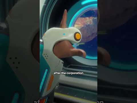 Subnautica 2 risked ‘irreversible harm to the entire franchise’ 🐠