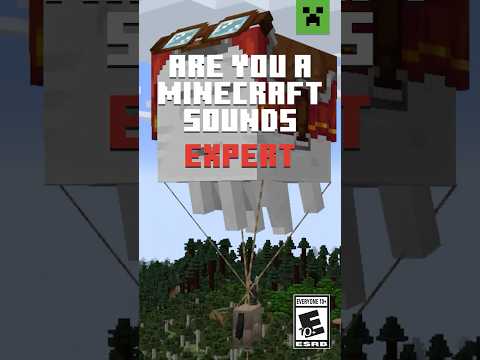 CAN YOU GUESS THE MINECRAFT SOUNDS?