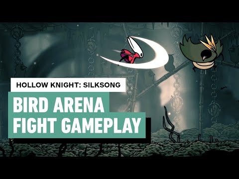 Hollow Knight: Silksong Battle Arena/Locked Room – Birds Fight (Greymoor)